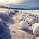 Illustration for article titled Massive ice boulders form along Michigan shoreline — but how?